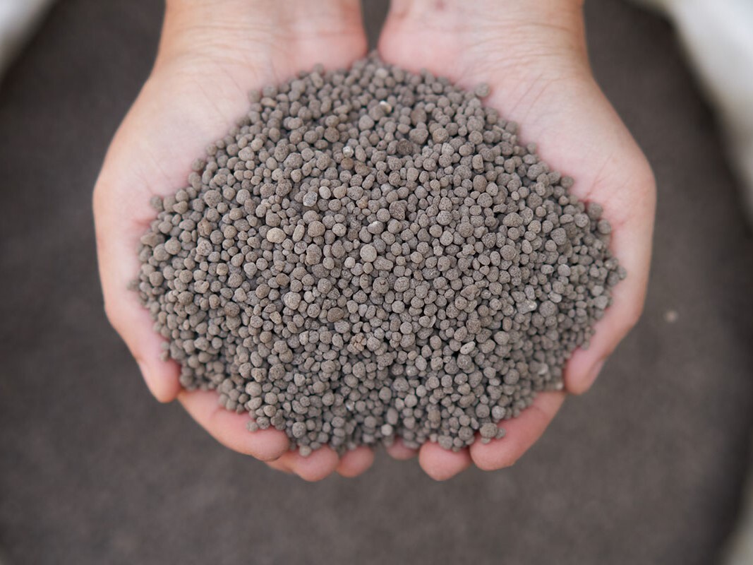 Hands holding fertilizer pellets
